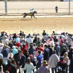 High Camp the Pick to Win Virginia Derby in Stakes Debut